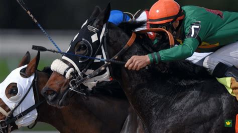 portman park racecards|Portman Park: The Ultimate Virtual Racing Experience .